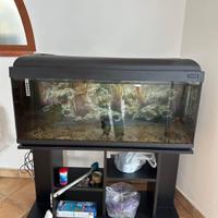 Acquario