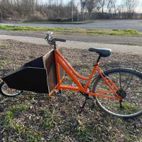 Bici Cargo Bike con Cassone in compensato marino