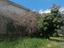 Immagine 11