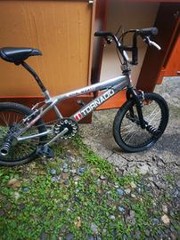 bicicletta