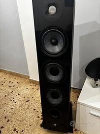 Focal chona 826