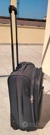trolley semi rigido con 4 ruote