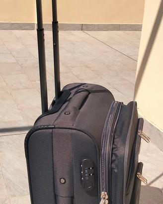 trolley semi rigido con 4 ruote