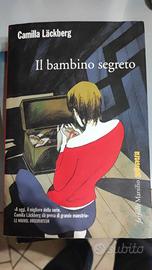 Il bambino segreto