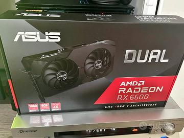 RX 6600 Asus Dual