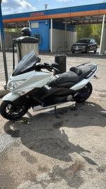 T max white max 2010