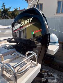MERCURY 40cv PRO