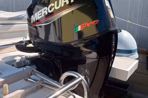 MERCURY 40cv PRO