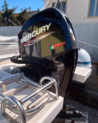 MERCURY 40cv PRO