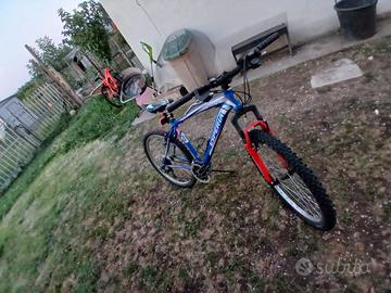 bicicletta per ragazzi