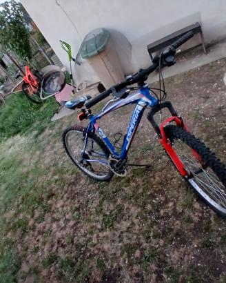 bicicletta per ragazzi