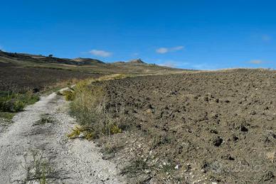 RGE 43/2024 Trib ENNA - LOTTO 2