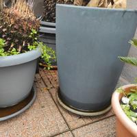 Vaso Veca genesis rotondo alto 60 cm grande