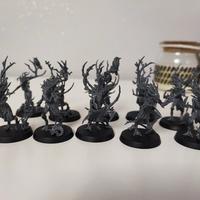 Driadi Sylvaneth Warhammer age of Sigmar DeD