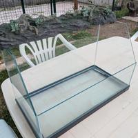 Tartarughiera tartarughe d'acqua 