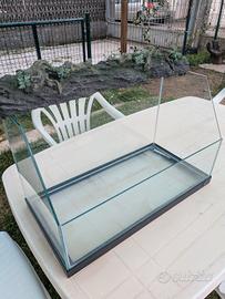 Tartarughiera tartarughe d'acqua 