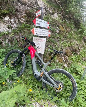 MTB Elettrica YT DECOY