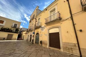 ATTIVITÀ A SAN SEVERO