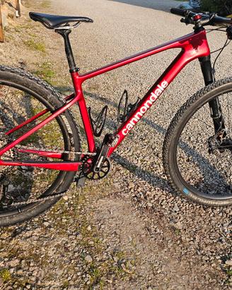 cannondale scalpel ht