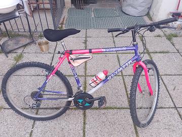 bicicleta 