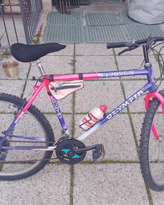 bicicleta 