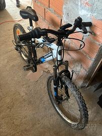 Bicicletta bambino 20 pollici