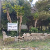 Terreno agricolo a torre santandrea otranto