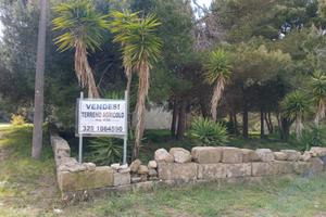 Terreno agricolo a torre santandrea otranto