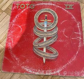 Disco vinile 