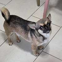 Alex vorrebbe una fidanzata