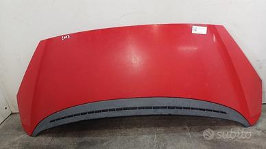 COFANO ANTERIORE PEUGEOT 1007 1° Serie 7901Q5 8HZ