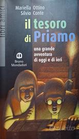 "Il tesoro di Priamo"