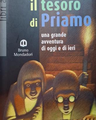 "Il tesoro di Priamo"