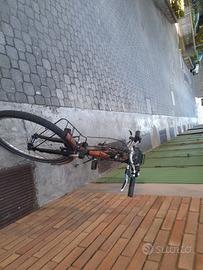 Bicicletta elettrica