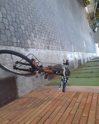Bicicletta elettrica
