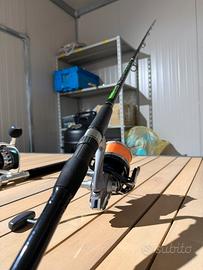 Canna da pesca ARTICO + mulinello Shimano