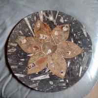 piano per tavolino in fossile naturale