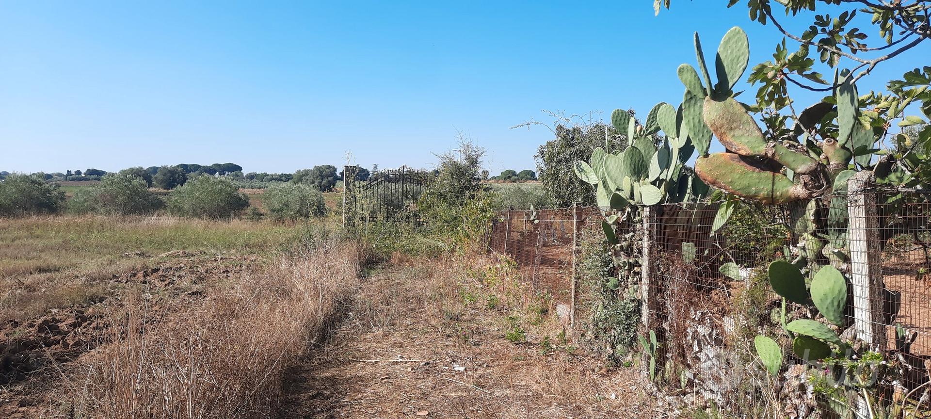terreno a Costa Baria - Vista 5