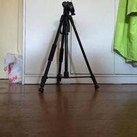 Treppiede Professionale Estensibile con Supporto