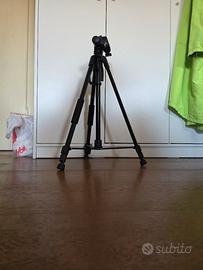 Treppiede Professionale Estensibile con Supporto