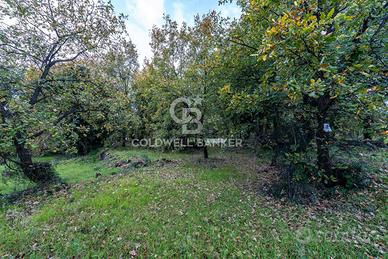 Terreno - Zafferana Etnea