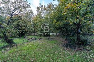 Terreno - Zafferana Etnea