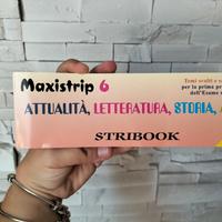 Maxistrip 6 Temi svolti e saggi brevi per esame