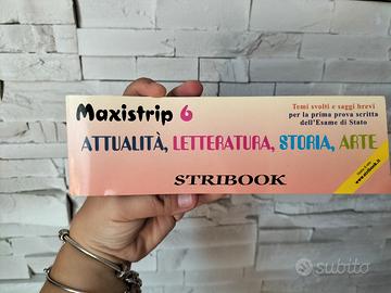Maxistrip 6 Temi svolti e saggi brevi per esame