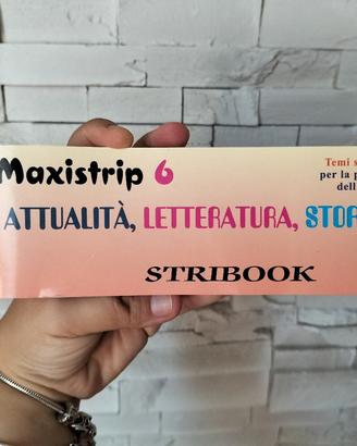 Maxistrip 6 Temi svolti e saggi brevi per esame