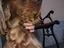 Immagine 3