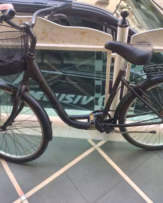 Bicicletta  con cestino