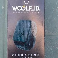 Orologio Woolf Id