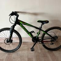 Bicicletta bambino 24