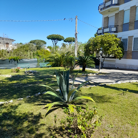 Appartamen con posto auto e giardino condominiale